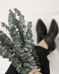 Green Eucalyptus