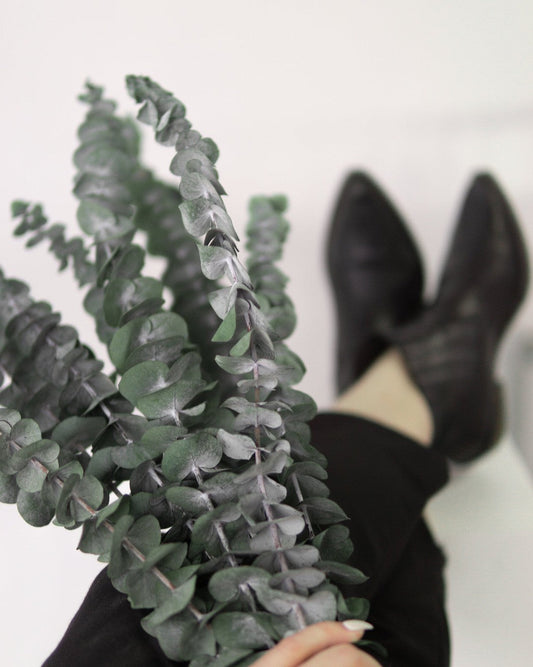 Green Eucalyptus